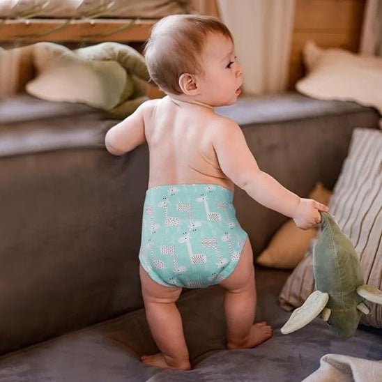 Culotte d'apprentissage - Réutilisables lot de 5 - Bbmiia