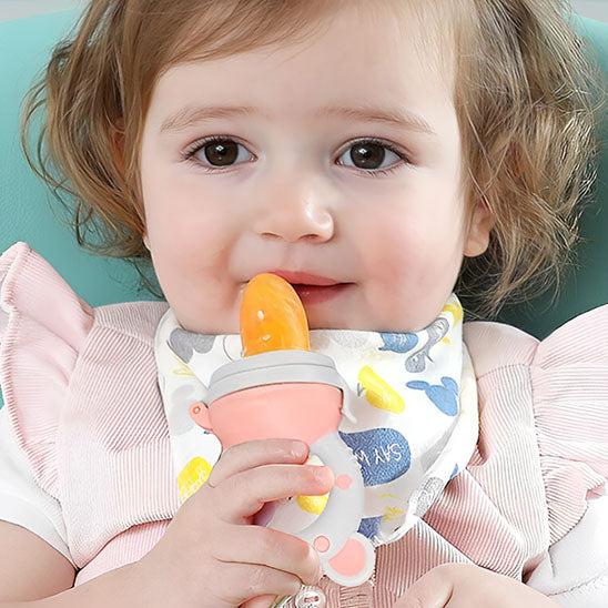 Grignoteuse bebe- Tétine alimentaire - Bbmiia