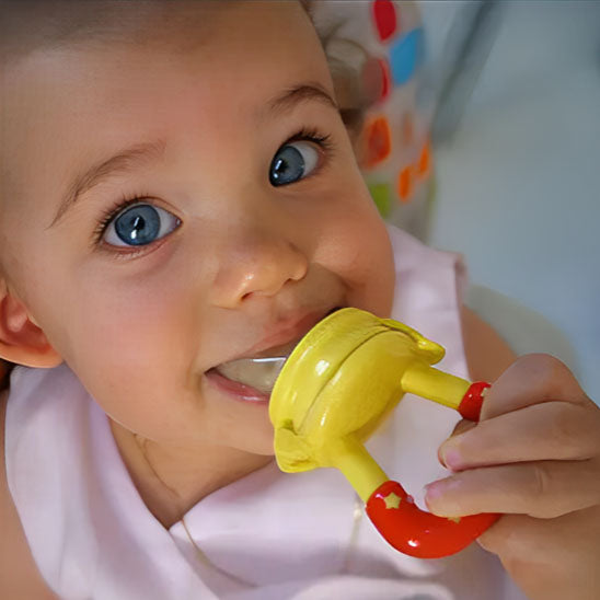 Grignoteuse bebe- Sucette fruits pour  bébé - Bbmiia