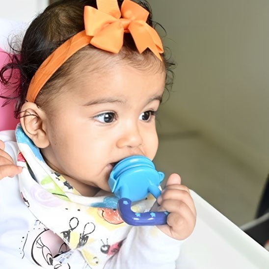 Grignoteuse bebe - Sucette fruits pour bébé - Bbmiia