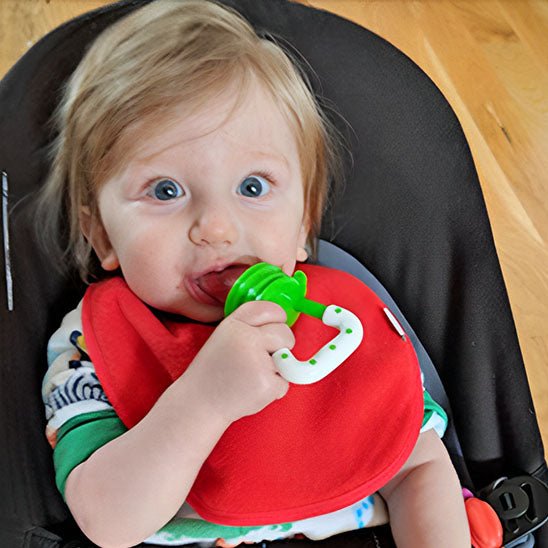 Grignoteuse bebe - Sucette fruits pour bébé - Bbmiia