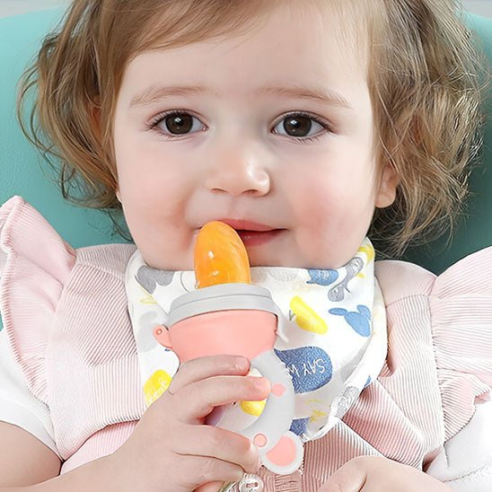 Grignoteuse bebe - Tétine alimentaire - Bbmiia